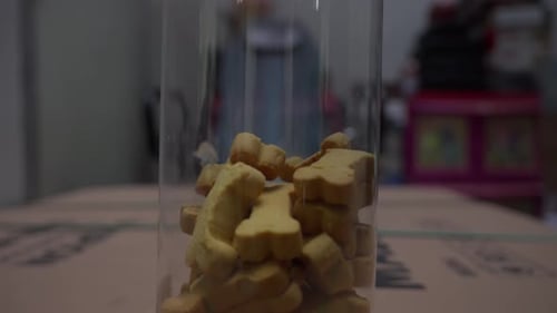 Close-up pull-out of brown dog treats in plastic can indoors