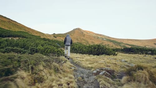 Running Man Nature Feel the Fresh Air and Freedom