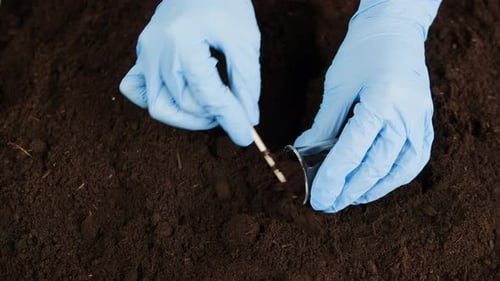 Geologist Man Worker Taking Measurements of Soil Probe By Scientific Equipment Close Up Laboratory