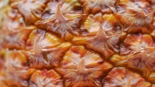 Macro background of tropical pineapple rotating