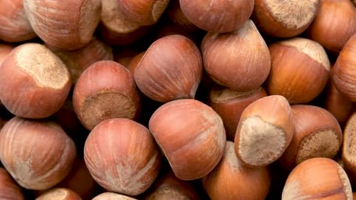 Close Up View Of Shelled Hazelnuts Rotates