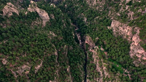 Mountain River Flowing Through Forest