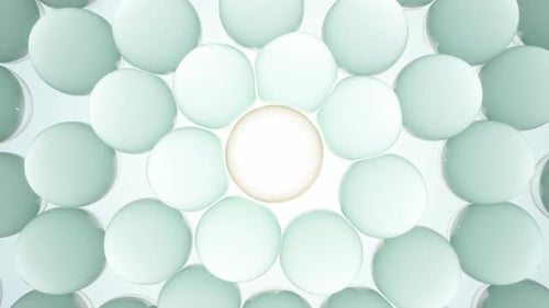 Skin Cells Healing and Recovery Process Natural Components Reducing Inflammation and Restoring
