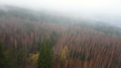 Overhead View Of Fogy Autumn Fall Season, Mountains Road.
