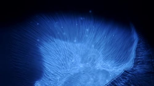 Abstract Light Blue Pattern Movement