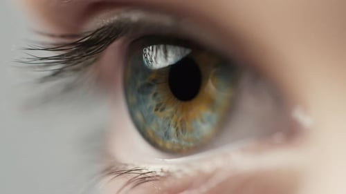 Intricate Close-up of a Human Eye