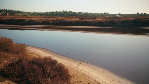 Calm riverbank with sandy shore and still reflective water
