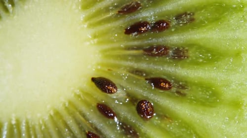 Close Up of Freshly Sliced Kiwi Fruit