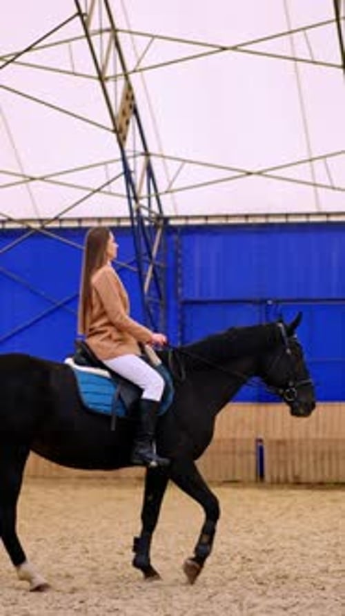 Horse riding inside the drill-hall. Long-haired woman in beige jacket and white pants rides a beauti