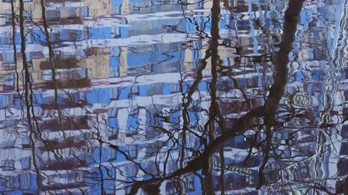 the Reflection of Trees on the Water the Surface of the Water in the Pool in Park Sun Reflection