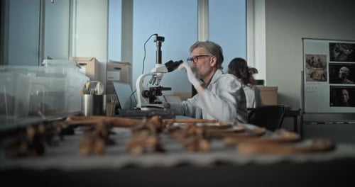 Scientist Examines Bones and Samples in Laboratory