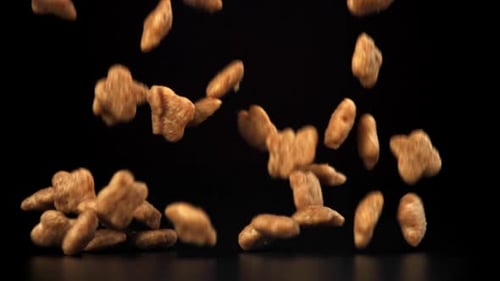 Dog Food Falls on the Table Filmed on a Highspeed Camera at 1000 Fps