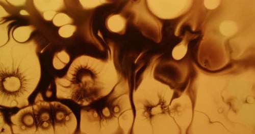 Ink Blob Wet Splatter Grunge Dripping Messy Flow