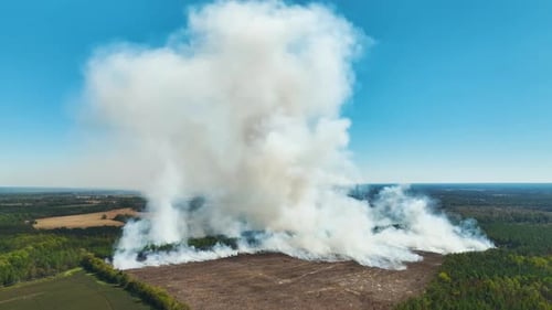 Aerial View of White Smoke From Forest Fire Rising Up Polluting Atmosphere