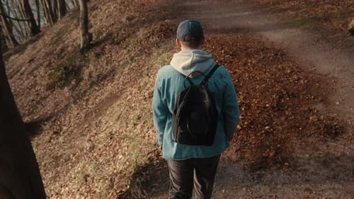 young man walking through the hilly forest on a sunny autumn day. hiking with backpack in the fall l