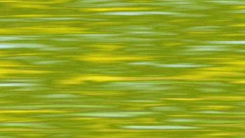 Fluid Abstract Green and Yellow Wavy Motion Background