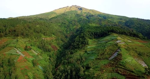 Drone shot of slope of mountain that have been deforested for use as agricultural land, The forest t