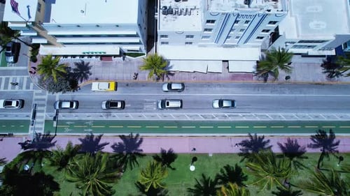 Coast city of Miami Beach Florida United States. Tropical scenery.