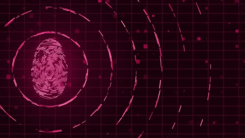 Abstract Futuristic Animation Of Human Fingerprint, Biometrical Finger Print Animation, Biometric