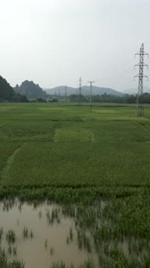 Drone volant à basse altitude au-dessus des rizières vertes parmi les montagnes rocheuses de Hanoi, Vietnam