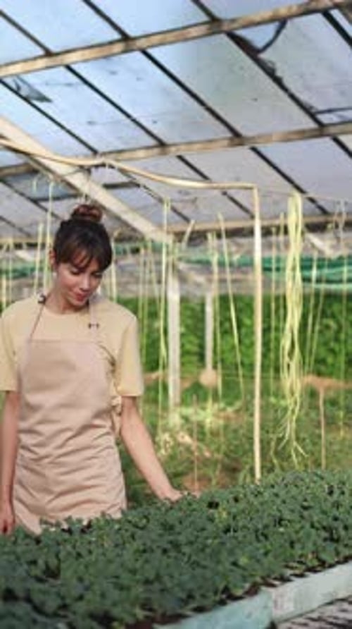 Woman Examining Small Plants in Greenhouse