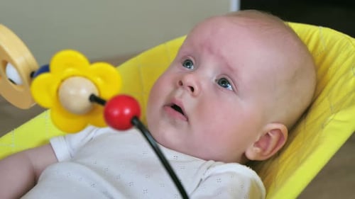 Delightful Infant Lies in Bouncy Seat with Flower Toy