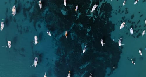 Luftaufnahme der Boote, die in Küstennähe im klaren Meerwasser ankern