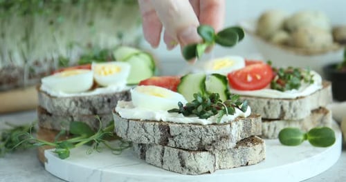 Preparing Delicious Sandwiches with Fresh Ingredients at Home