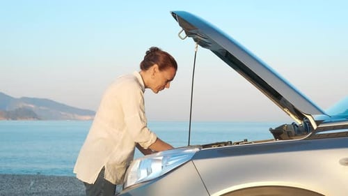 Traveler By Breakdown Car By Water