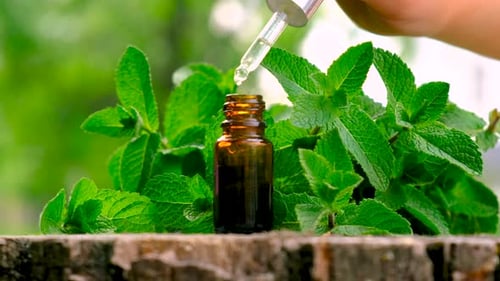 Dropper Dispensing Liquid into Bottle with Mint Leaves