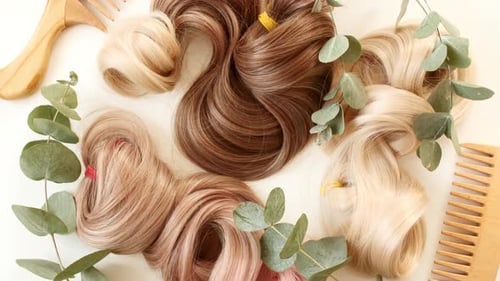 Blond Brown Shiny Wavy Hair on White Background Shiny Woman Hair Strand Curl Hair Care and Beauty