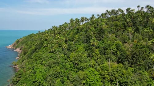 Top view of a tropical beach.