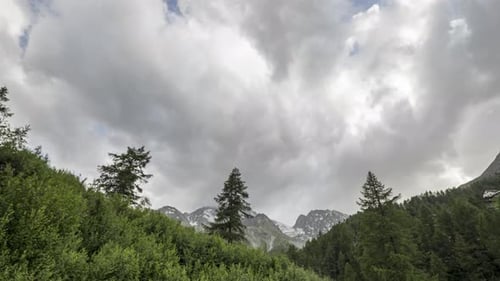 Zeitraffer schnell fliegender Wolken über einem alpinen Waldtal mit Berggipfeln im Hintergrund.