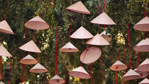 Traditional Vietnamese Conical Hats Hanging From a Tree in Moscow Celebrating Vietnam Days