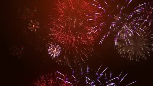 Colorful Fireworks Explode in the Night Sky