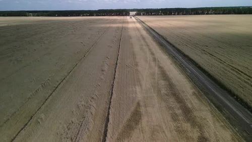 Wheat field aerial view in Ukraine