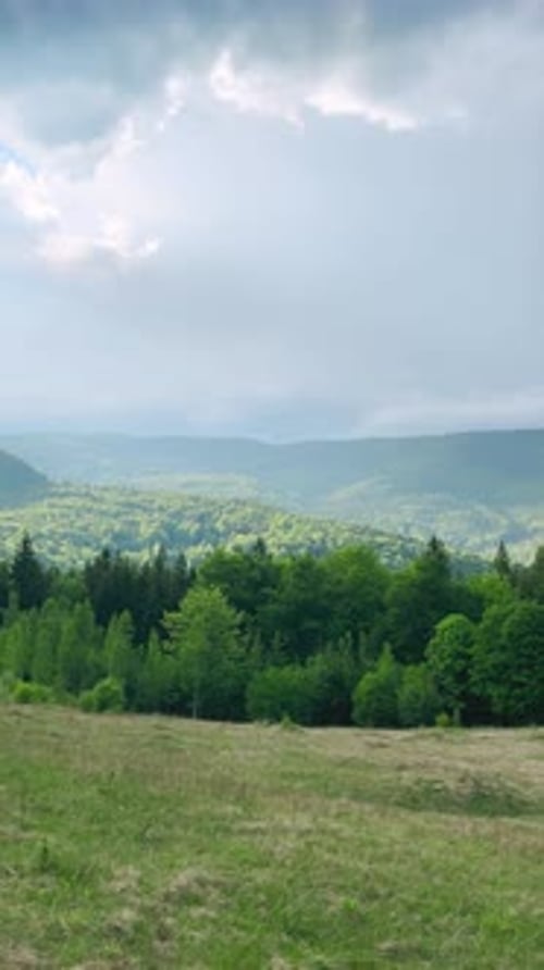 Panoramic view of the mountains, forest, valley in summer. Vertical video.