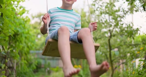 Happy Little Boy Swinging on a Swing in the Garden
