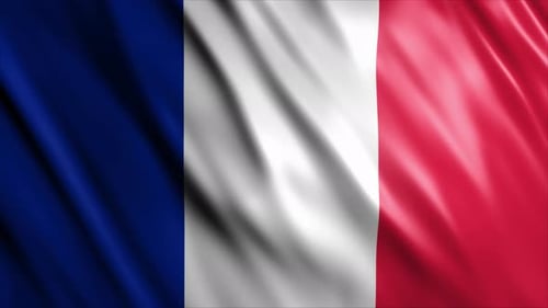 French Flag Waving Seamless Loop Background
