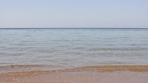 Sea Water Wave Come to Beach Beach Sea Sand Summer Day Water Splash Pure Water with Reflections