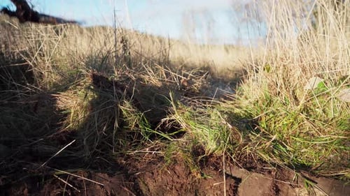 Cropped View Of A Man With Shovel Removing Grass On The Ground. Close-Up Shot