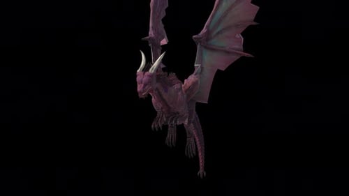 Animated Mystical Dragon Flying Cycle