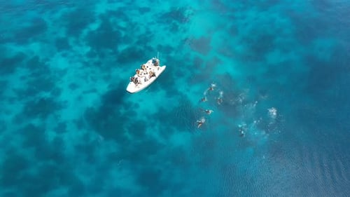 View of divers on a stunnning turqoise water sea and coral reef starting their dive in Yangeffo