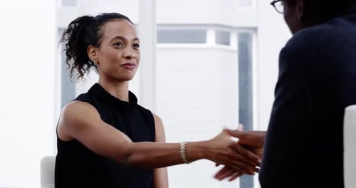 Businesswoman Shakes Hands During Meeting in Bright Office