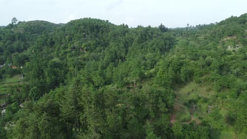 Lush Green Hillside Aerial View