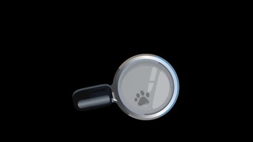 Animated Magnifying Glass Icon Revealing Information