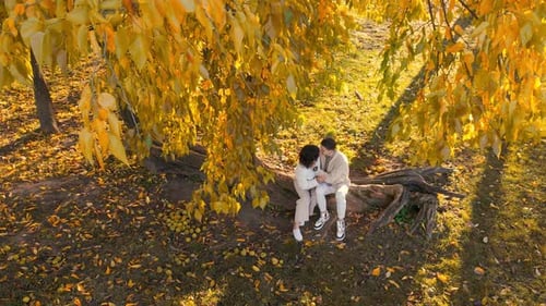 Drone view of a romantic couple in an autumn park. Kissing each other. Autumn atmosphere, yellowing