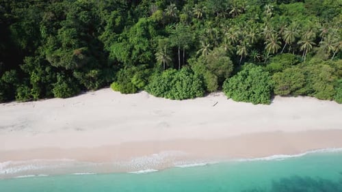 Aerial View of Tropical White Sand Beach, Clear Turquoise Water, and Lush Green Forest