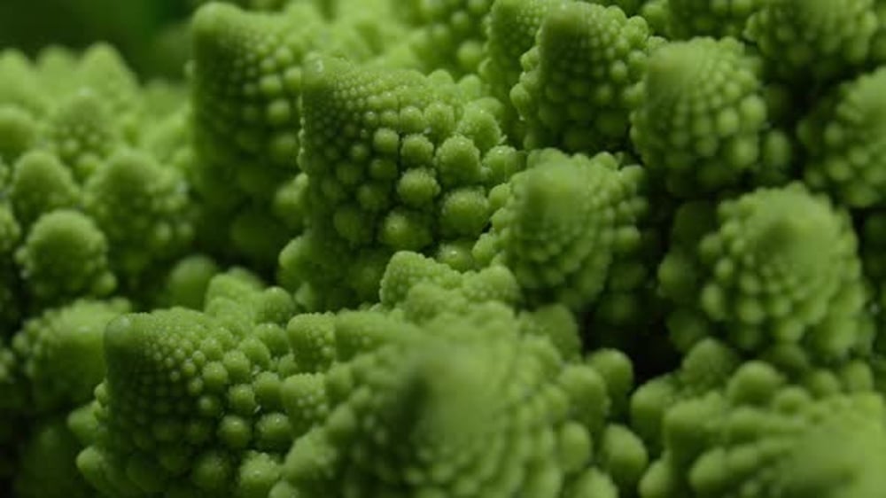 Close-Up of Green Romanesco Broccoli Fractal Pattern, Food Stock ...