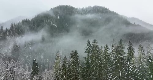 Fog Mist Mountain Air Cold Day Winter Storm Nature Outdoor Title Background